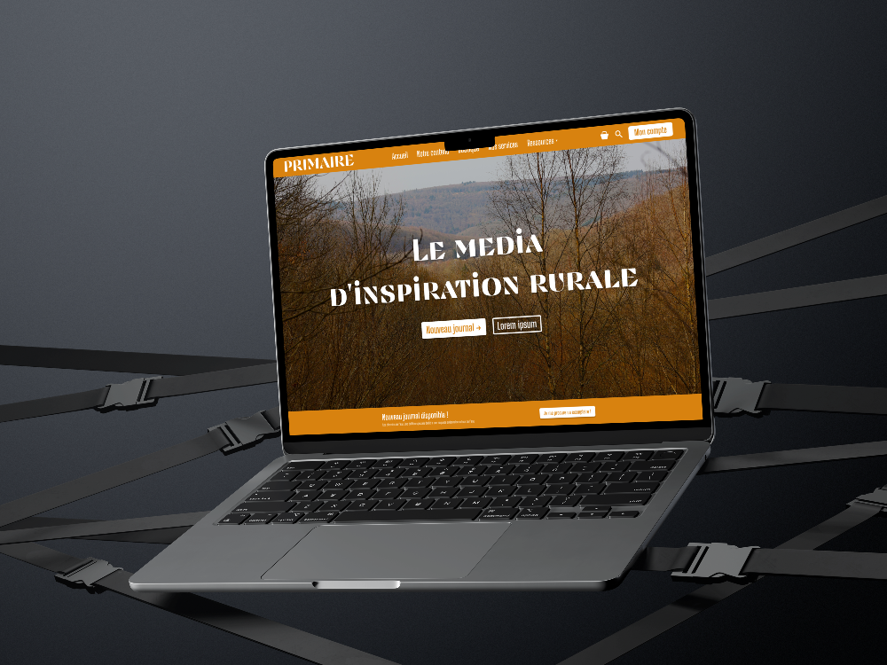 Création Primaire